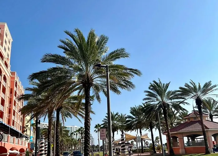 Sweet At The Clearwater Beach